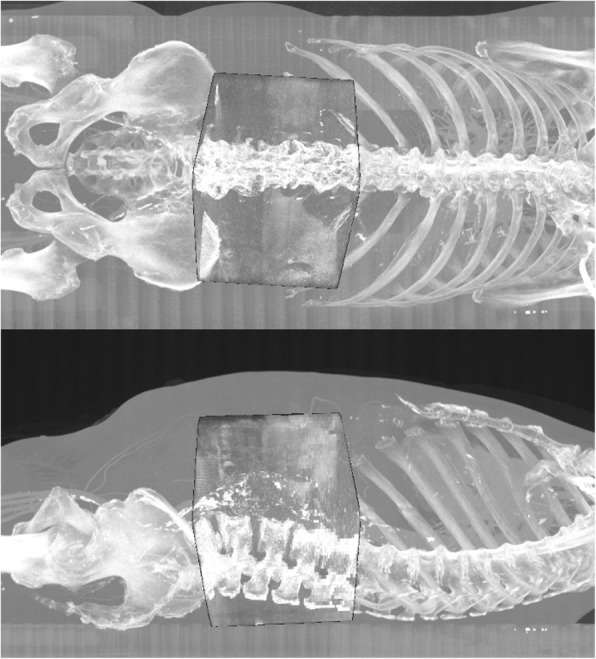 Fig. 2