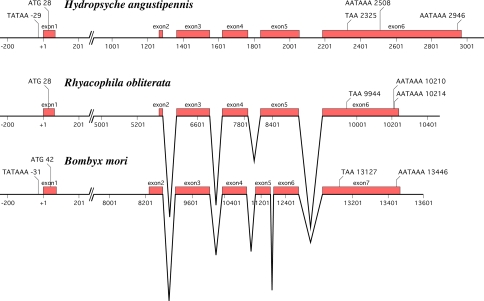 Fig. 3