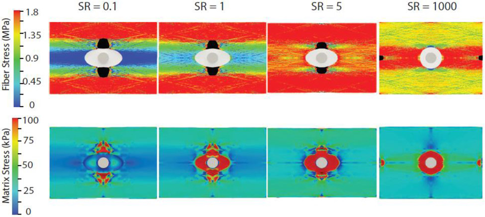 Fig. 8