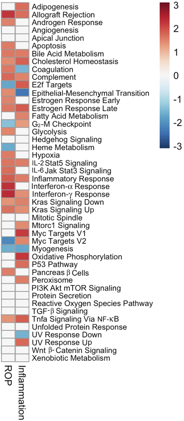 Figure 6