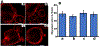 Figure 6: