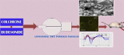 Unlabelled image