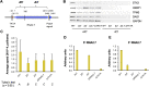 FIG 10