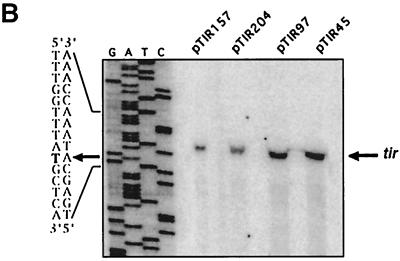 FIG. 5