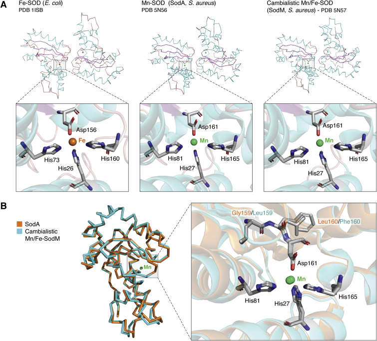 Figure 4