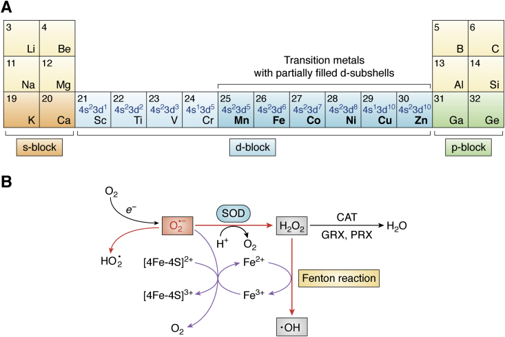 Figure 1