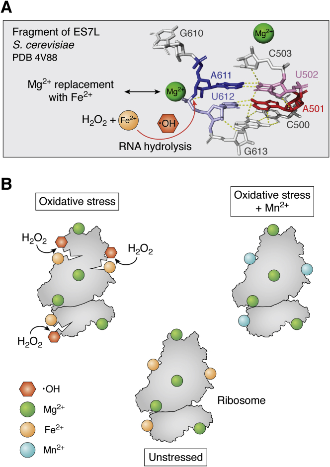 Figure 5