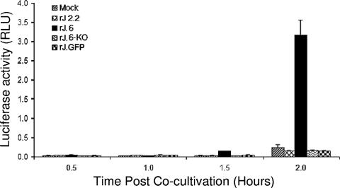 FIG. 3.