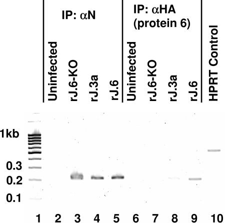 FIG. 6.