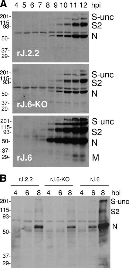 FIG. 4.