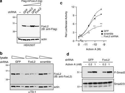 FIGURE 11.