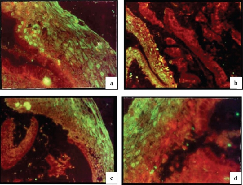 Fig. 6