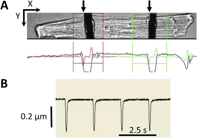 Fig. 2