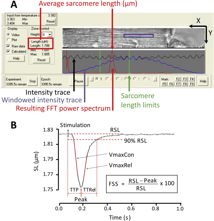 Fig. 3