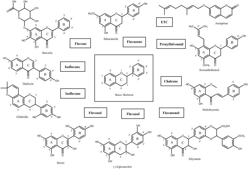 Figure 1.