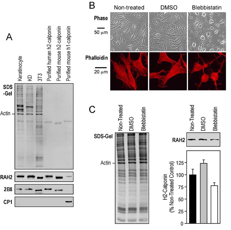 Fig. 9.