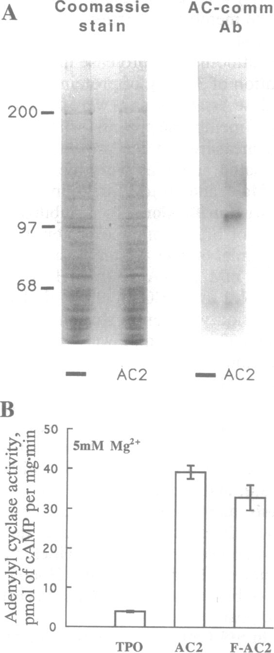 graphic file with name pnas01144-0399-a.jpg