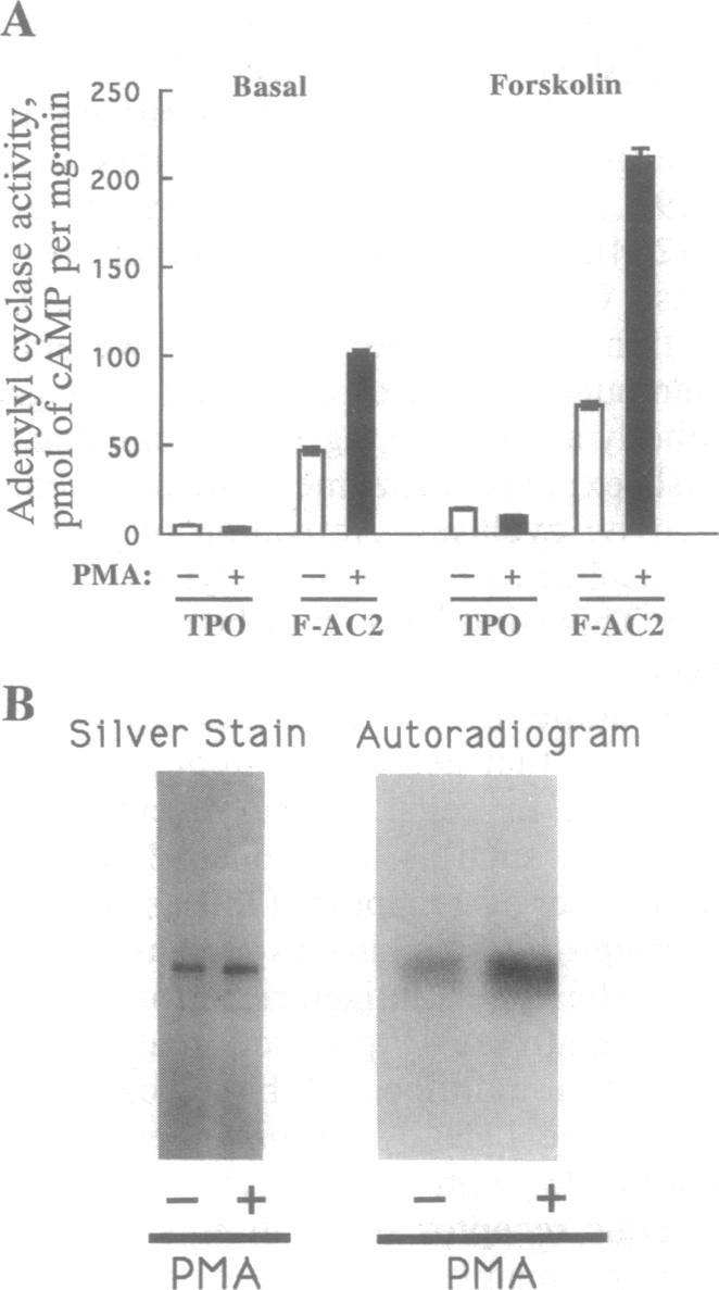 graphic file with name pnas01144-0400-a.jpg