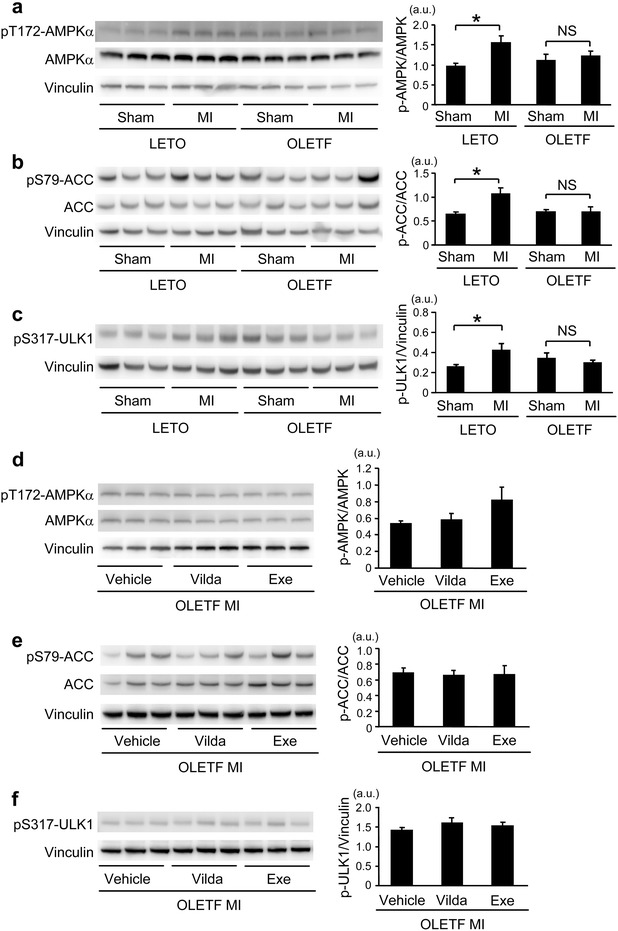 Fig. 6