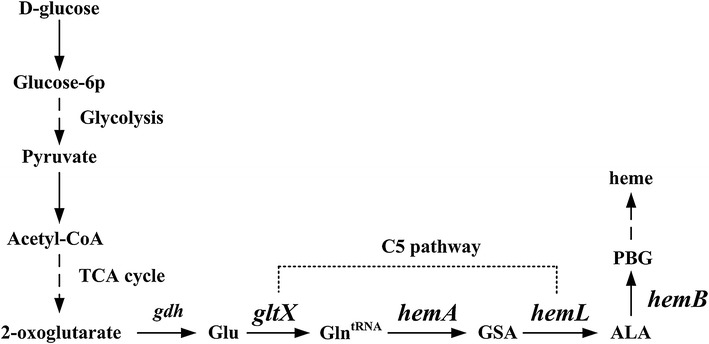 Fig. 1