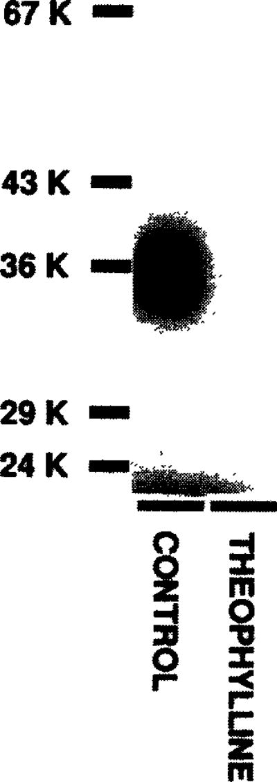 Fig.3