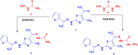 Scheme 1