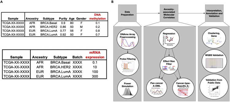 Figure 1