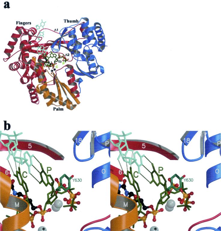 FIG. 3.