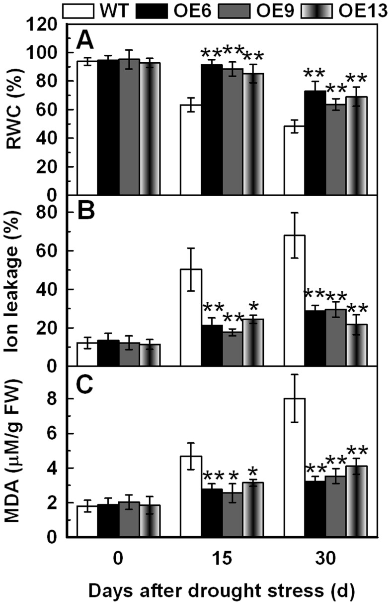 Figure 6