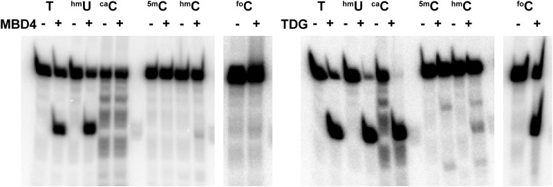 FIGURE 9.