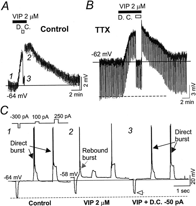 Fig. 1.