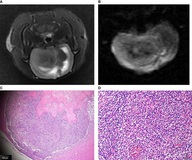 Figure 3