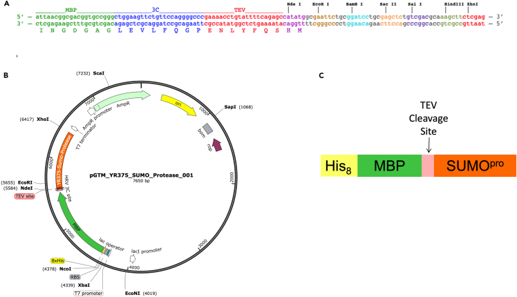 Figure 2