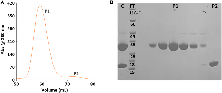 Figure 4