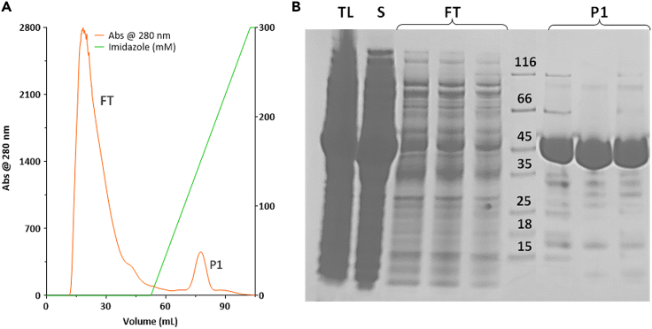 Figure 3