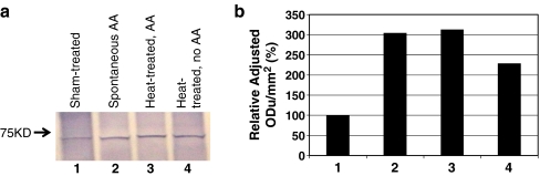 Fig. 3