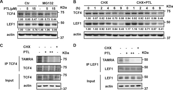 Figure 4.