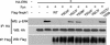 FIGURE 9.
