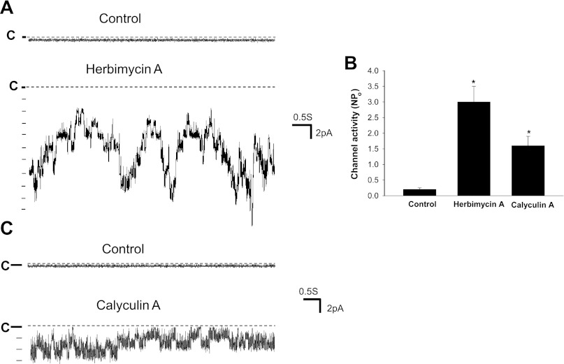 Fig. 9.