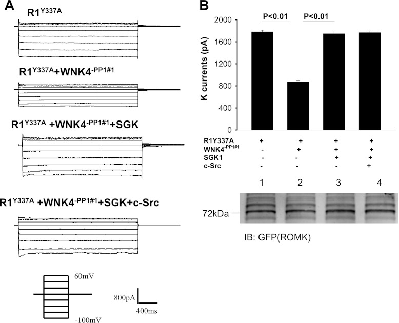 Fig. 4.