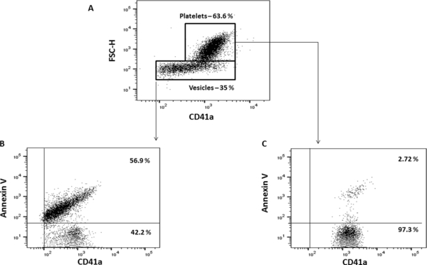 Figure 1: