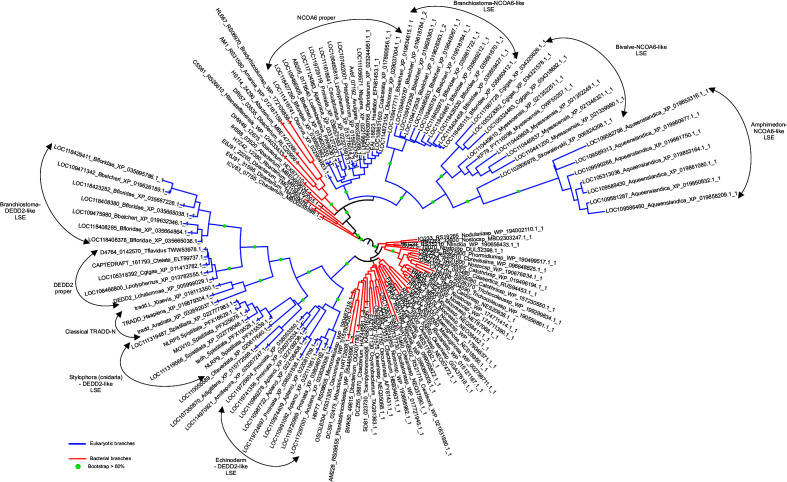 Figure 3—figure supplement 1.