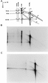 FIG. 7