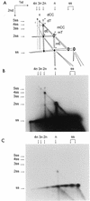 FIG. 8