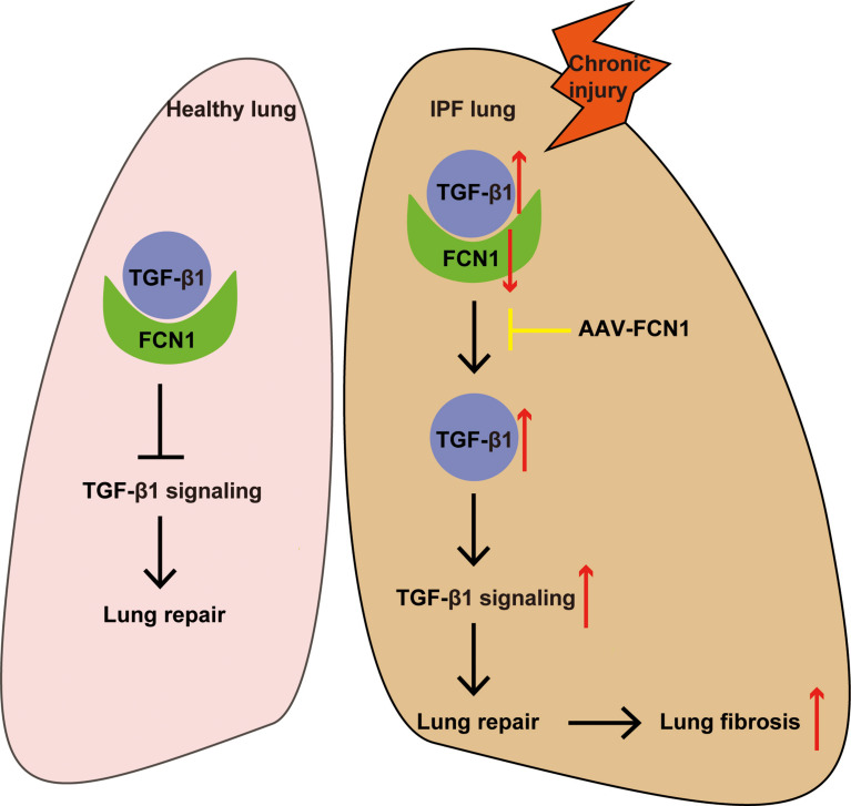 Fig. 10