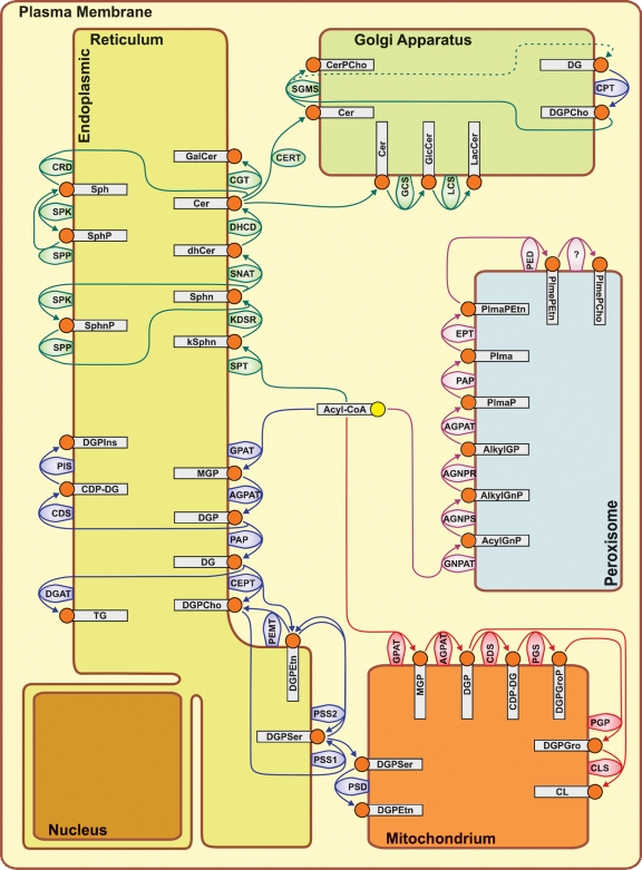 Fig. 1.