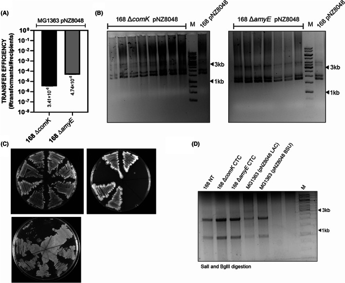 FIGURE 4