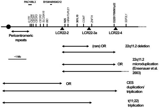 Figure  1