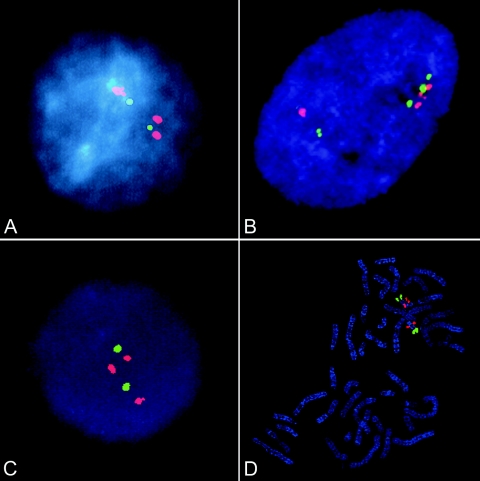 Figure  3