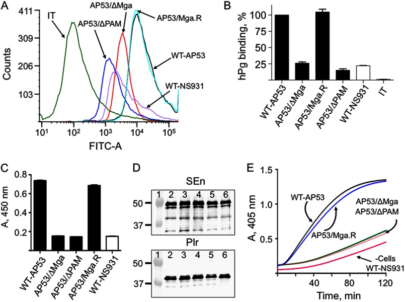 FIGURE 2.